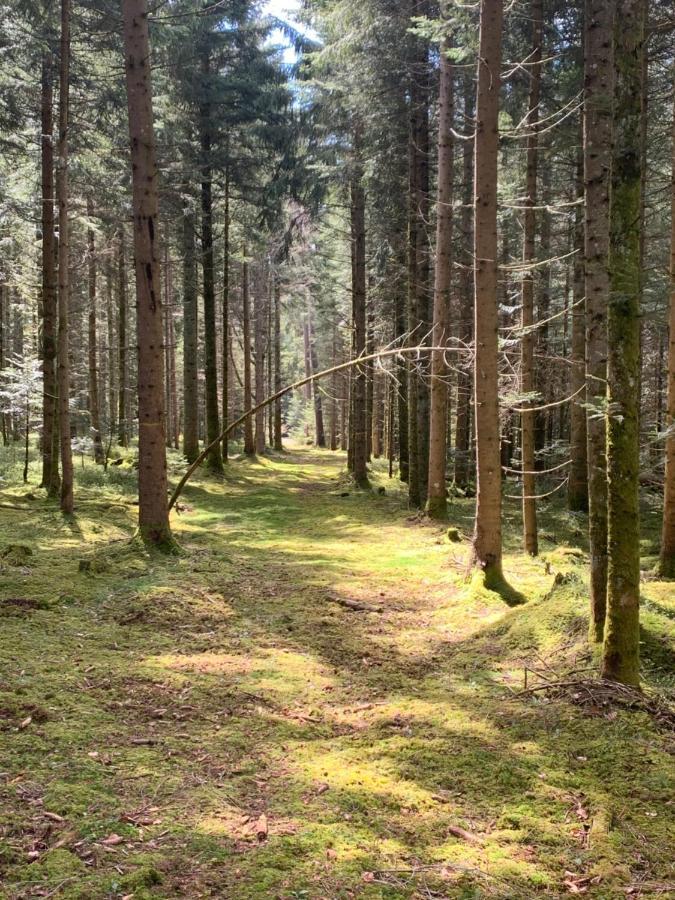 Appartement Tarahaus à Sankt Georgen im Schwarzwald Extérieur photo