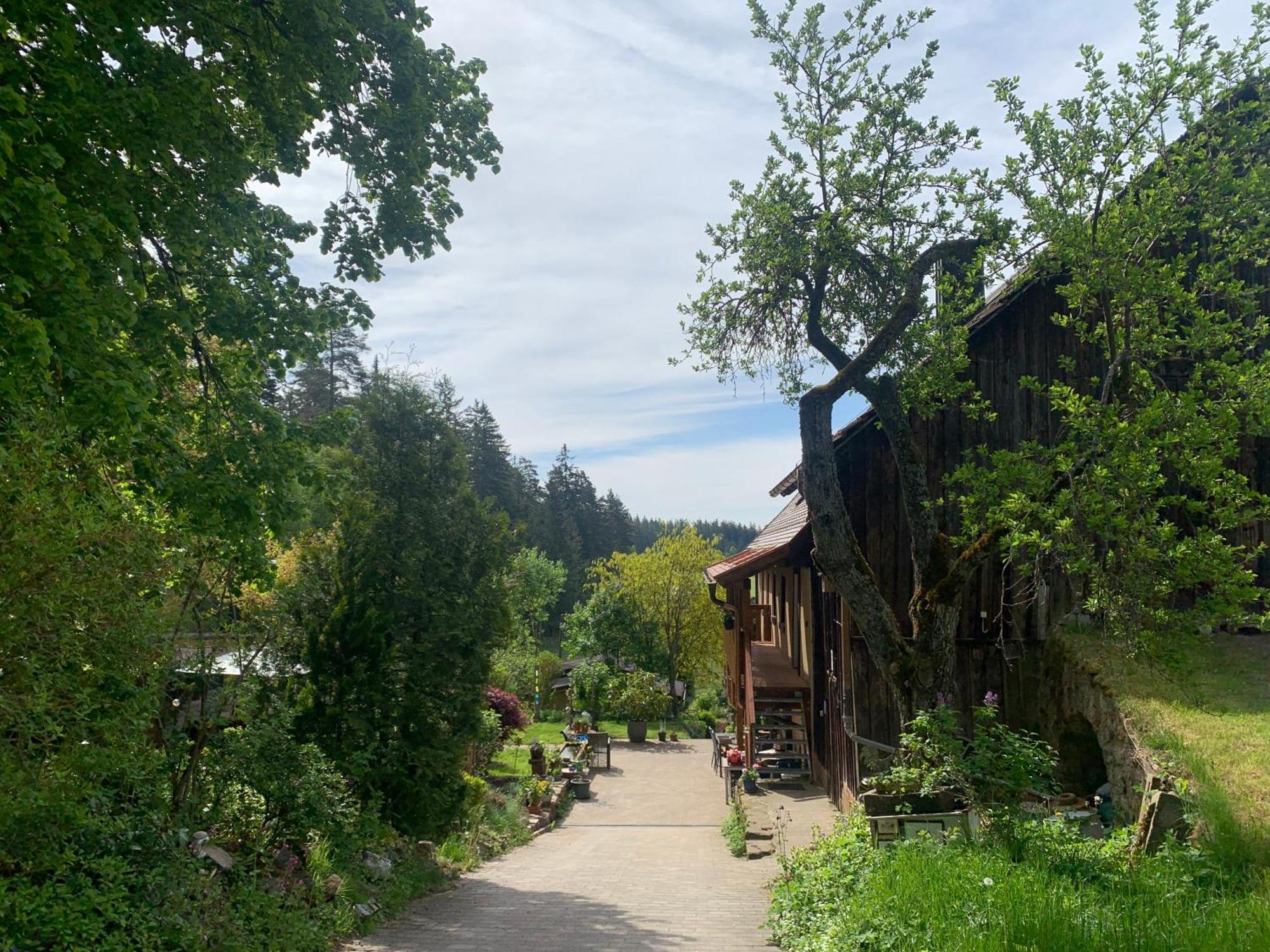 Appartement Tarahaus à Sankt Georgen im Schwarzwald Extérieur photo